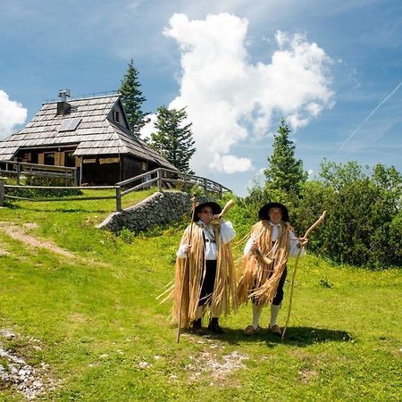 Chalet Tisa Velika Planina Stahovica Zewnętrze zdjęcie