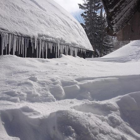Chalet Tisa Velika Planina Stahovica Zewnętrze zdjęcie