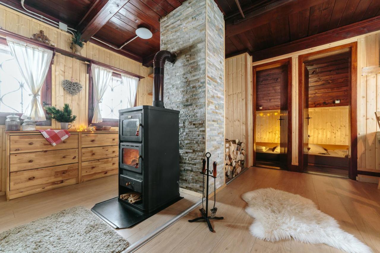 Chalet Tisa Velika Planina Stahovica Zewnętrze zdjęcie