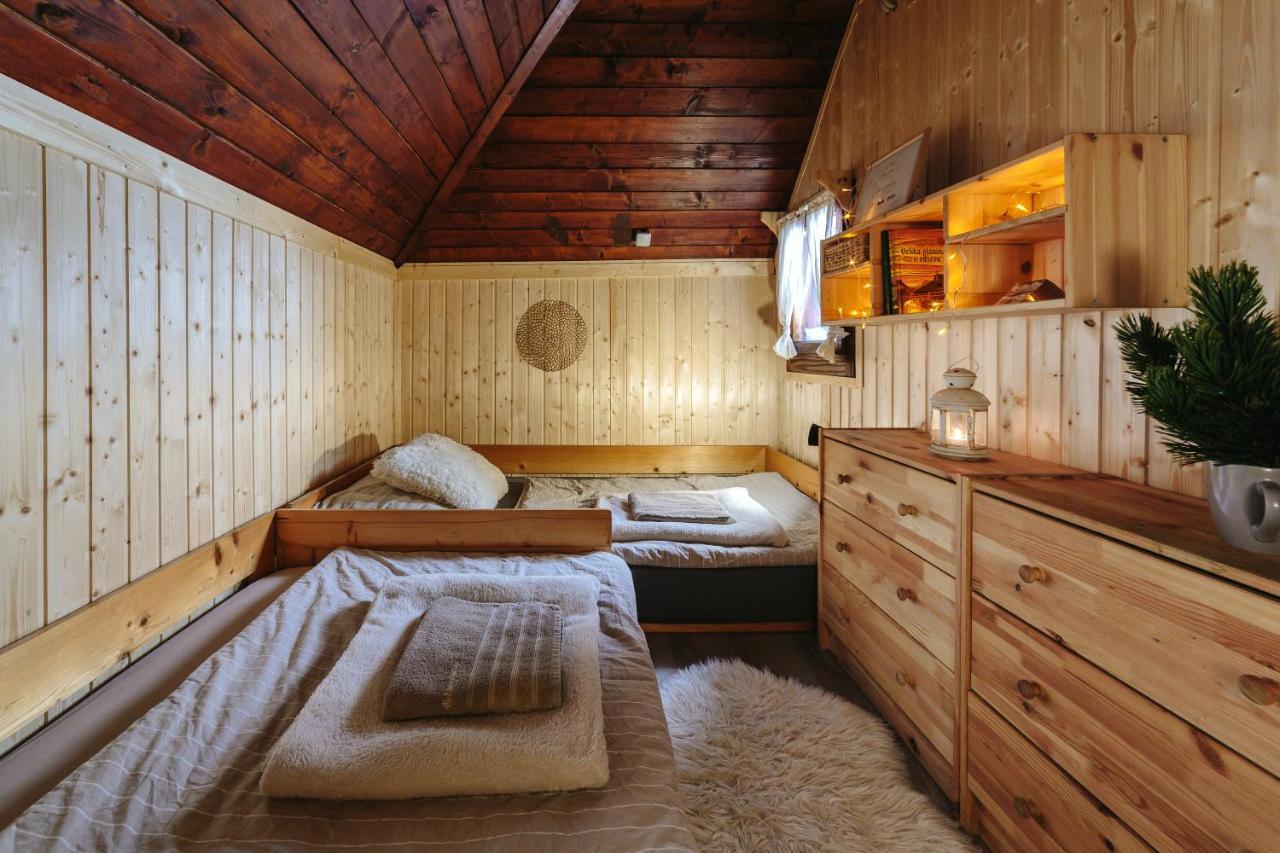 Chalet Tisa Velika Planina Stahovica Zewnętrze zdjęcie