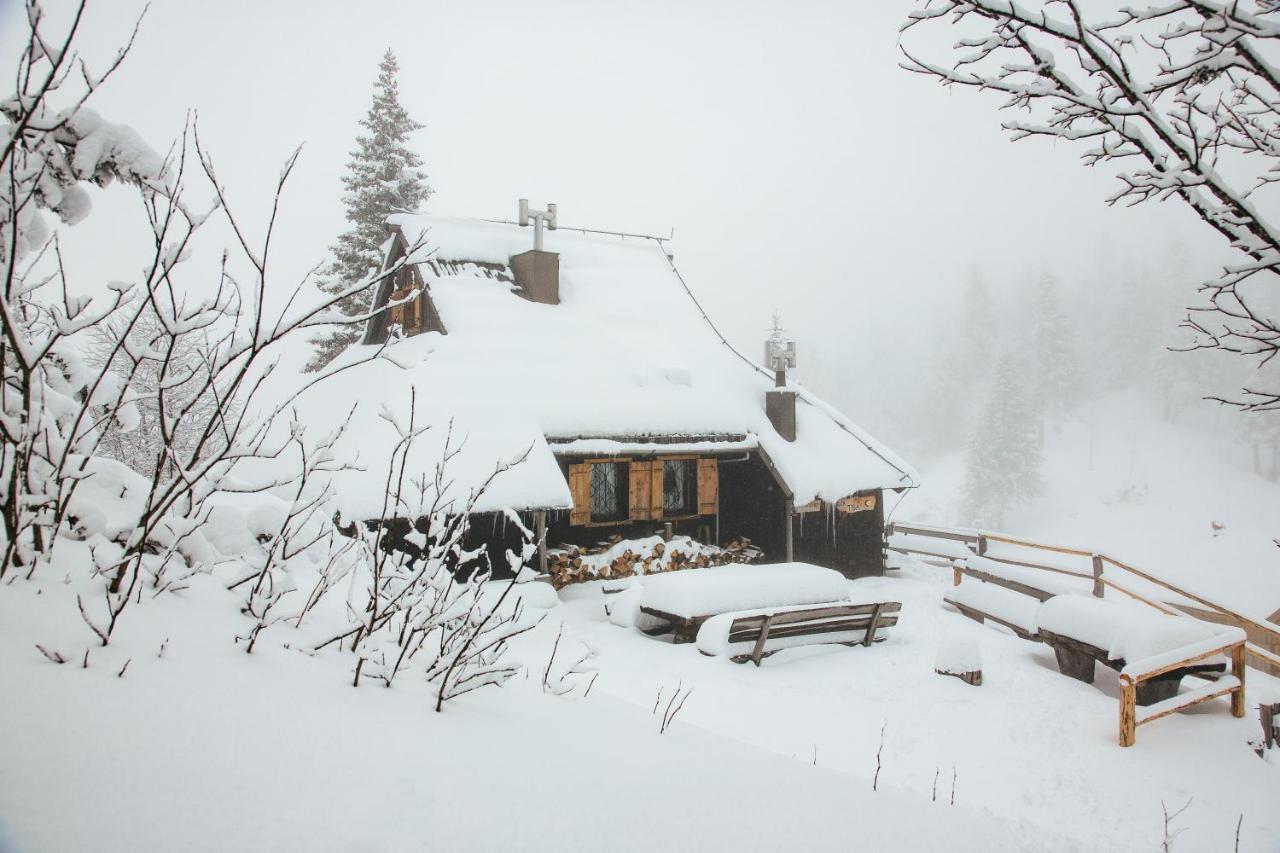 Chalet Tisa Velika Planina Stahovica Zewnętrze zdjęcie