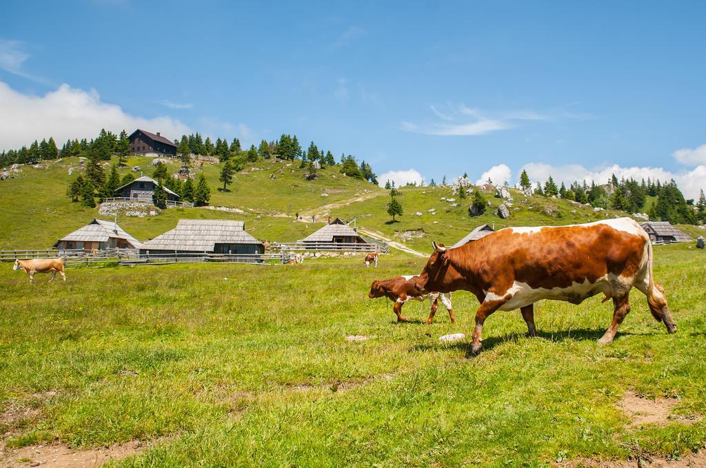 Chalet Tisa Velika Planina Stahovica Pokój zdjęcie
