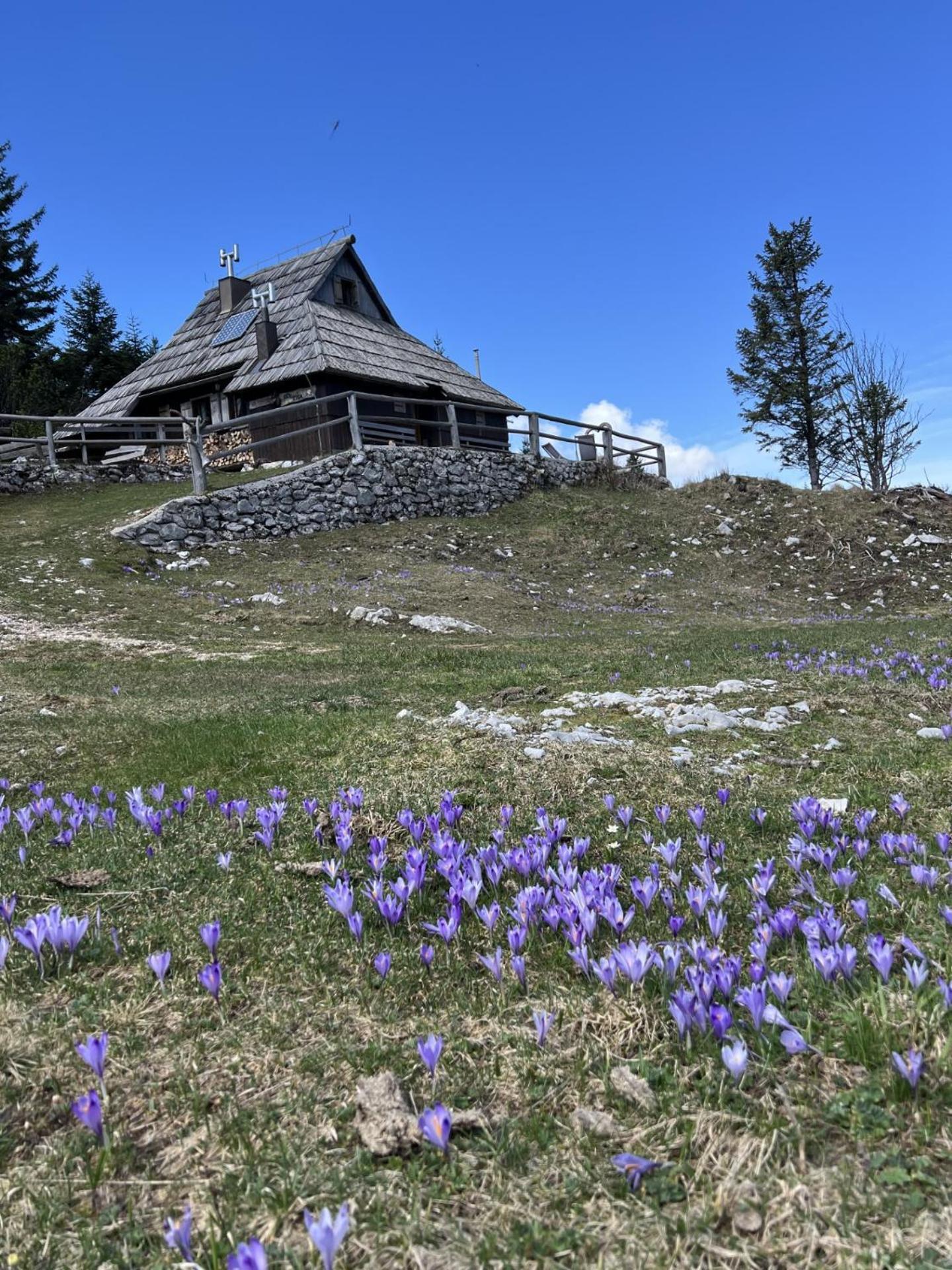 Chalet Tisa Velika Planina Stahovica Zewnętrze zdjęcie