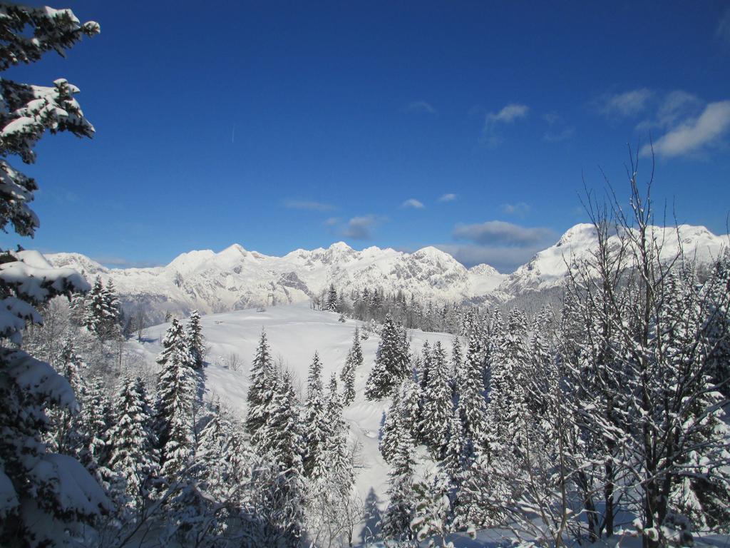 Chalet Tisa Velika Planina Stahovica Pokój zdjęcie