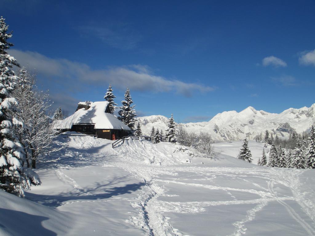 Chalet Tisa Velika Planina Stahovica Pokój zdjęcie