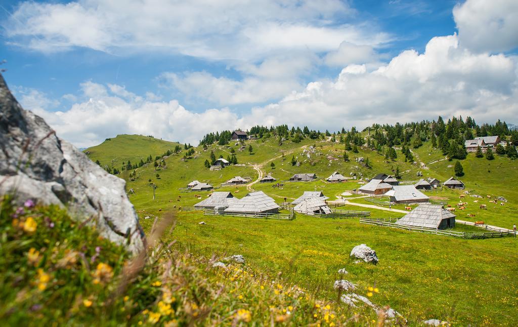 Chalet Tisa Velika Planina Stahovica Pokój zdjęcie