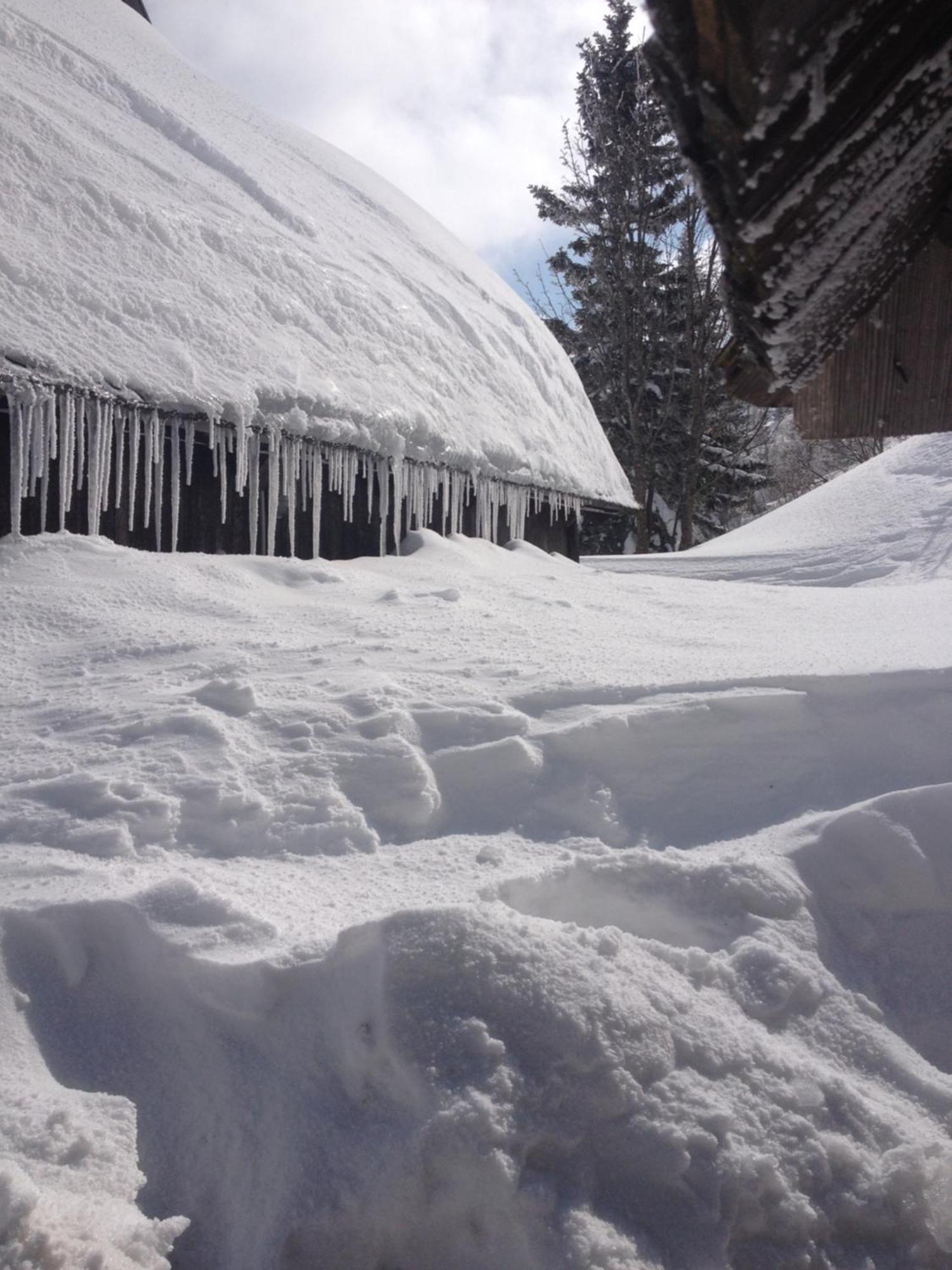 Chalet Tisa Velika Planina Stahovica Zewnętrze zdjęcie