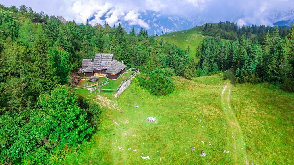 Chalet Tisa Velika Planina Stahovica Zewnętrze zdjęcie