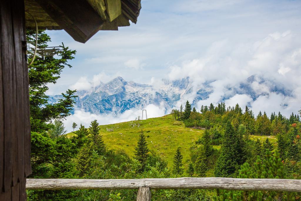 Chalet Tisa Velika Planina Stahovica Zewnętrze zdjęcie