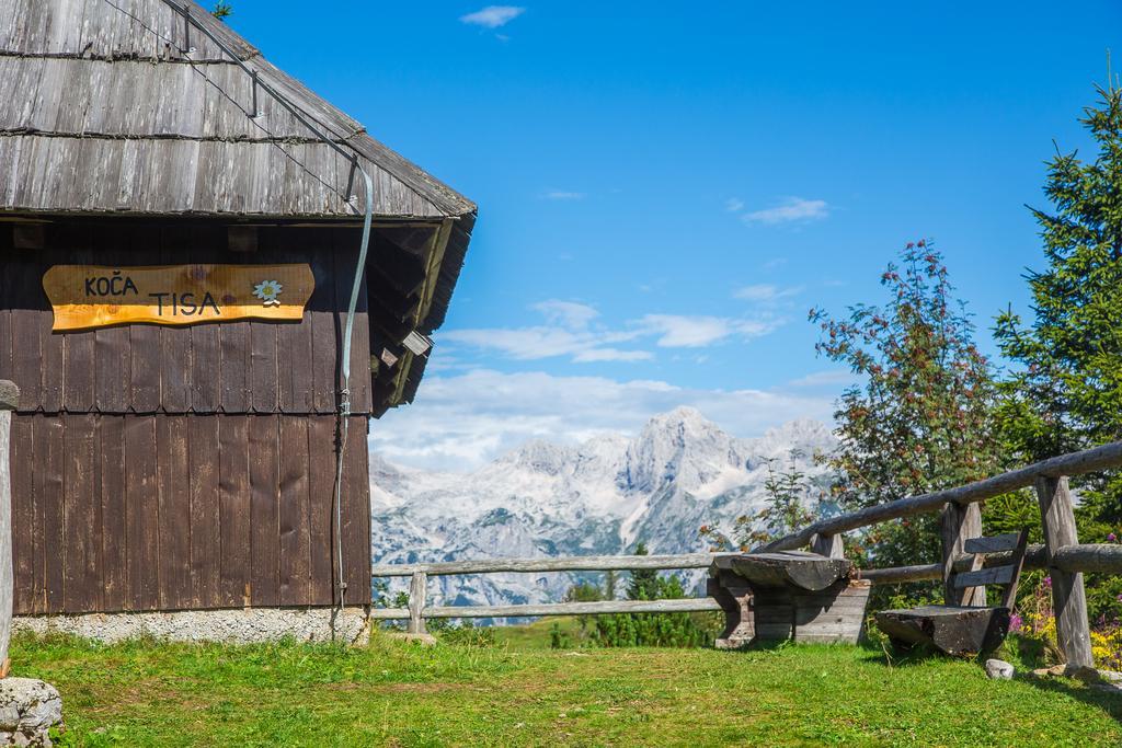 Chalet Tisa Velika Planina Stahovica Zewnętrze zdjęcie