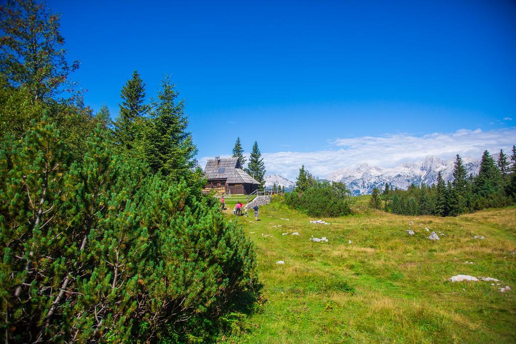 Chalet Tisa Velika Planina Stahovica Zewnętrze zdjęcie