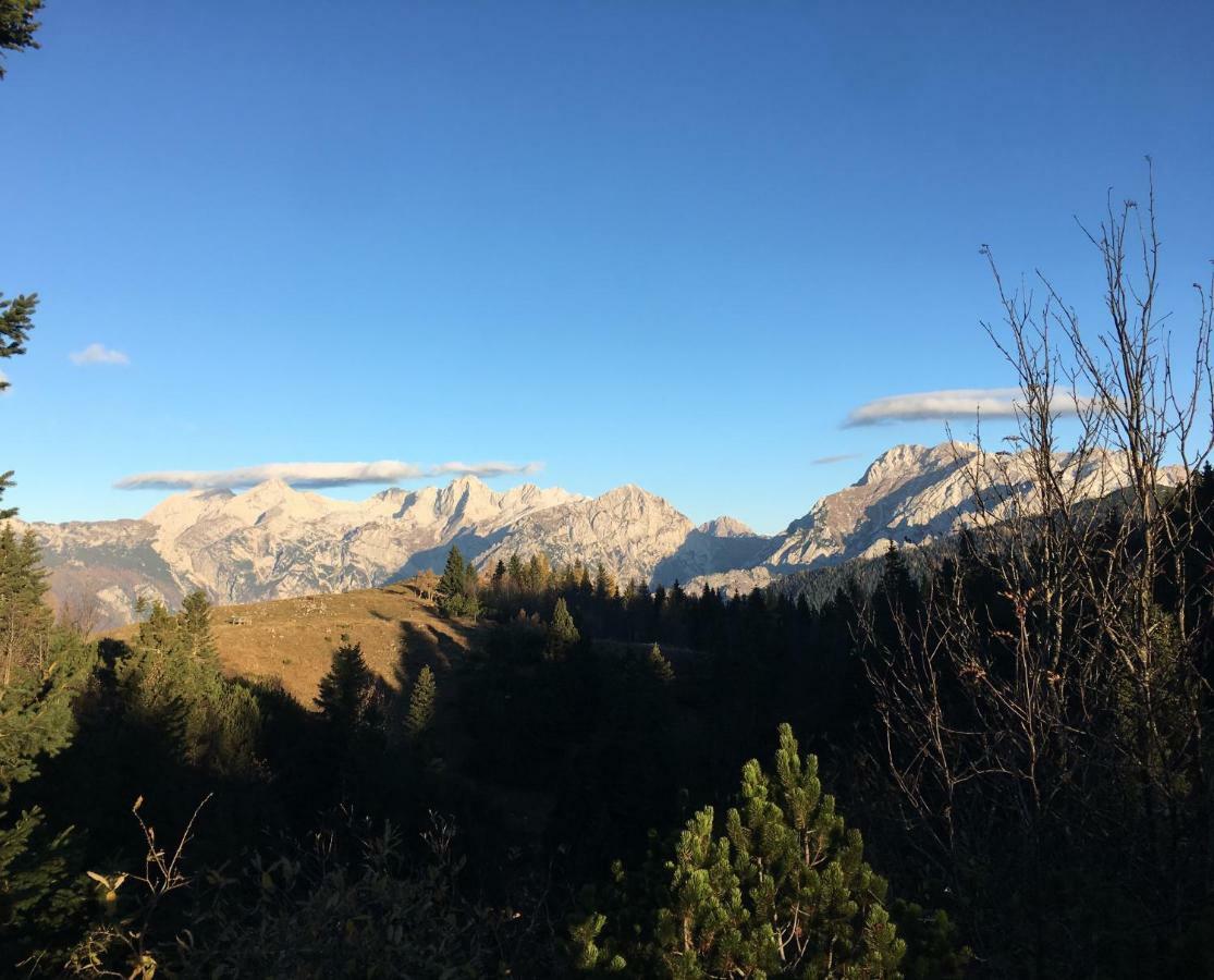 Chalet Tisa Velika Planina Stahovica Zewnętrze zdjęcie
